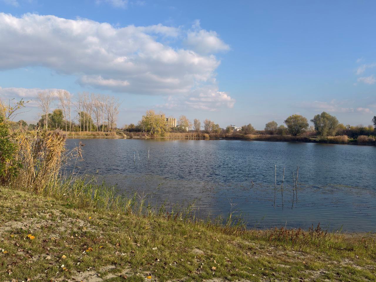 Lake Provala on a sunny autumn day: reeds, poplars and white clouds over calm water
