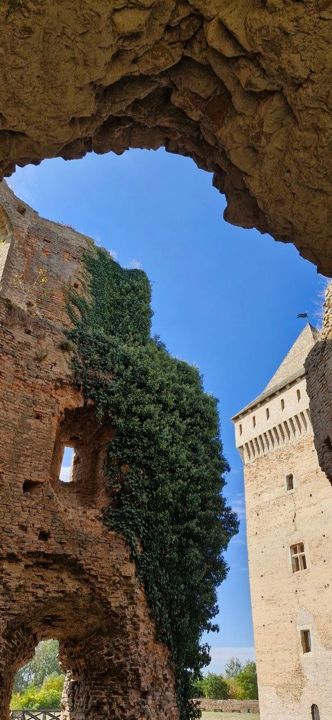 Looking up through a broken brick arch at Bač Fortress: an ivy-covered wall and the keep against the sky