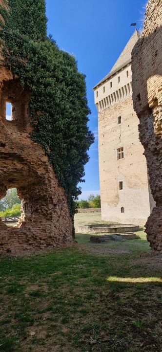Inside Bač Fortress: ivy on a ruined wall, the restored keep and the foundations of a round structure in the grass