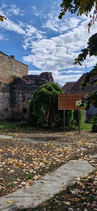 Remains of the Ottoman bath (hamam) in Bač behind a weeping tree, with the bilingual information board