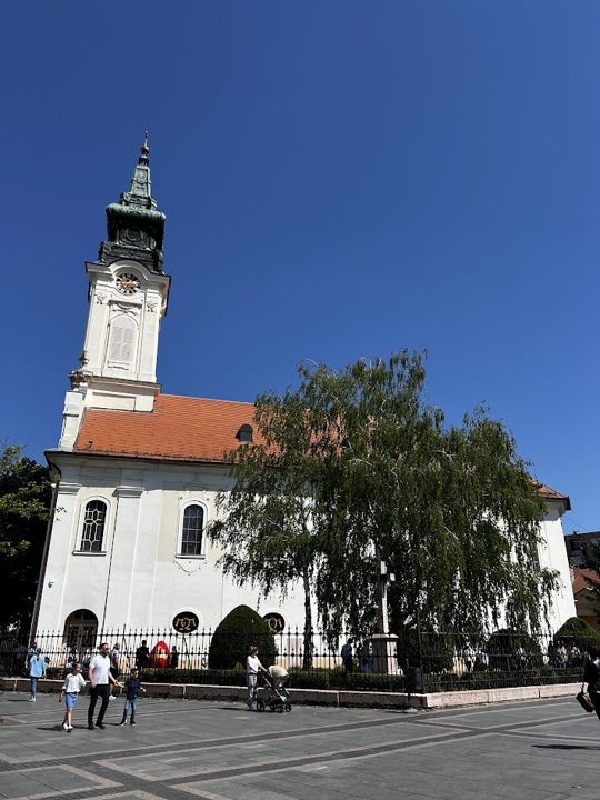 The Serbian Orthodox Church of St George in Sombor, white with a green spire, a weeping willow in front